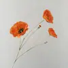 Flor Artificial Aveludada Haste Única Papoula Flor Falsa Decoração de Paisagismo para Cerimônia de Casamento Material de Flor para Decoração de Interiores Aconchegante Arranjo de Flores