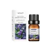 Óleo Essencial de Aromaterapia Solúvel em Água Aroma de Lavanda Purificador de Ar Casa Aromaterapia Sem Chama Líquido de Recarga
