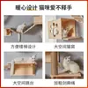 Rack de escalada para gatos montado na parede Brinquedo de gato montado na parede Cápsula espacial grande Pilar do céu Mesa de salto para gatos Pilar de garra de cânhamo