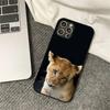 Adecuado para iPhone15 animal león felino grande carcasa de teléfono