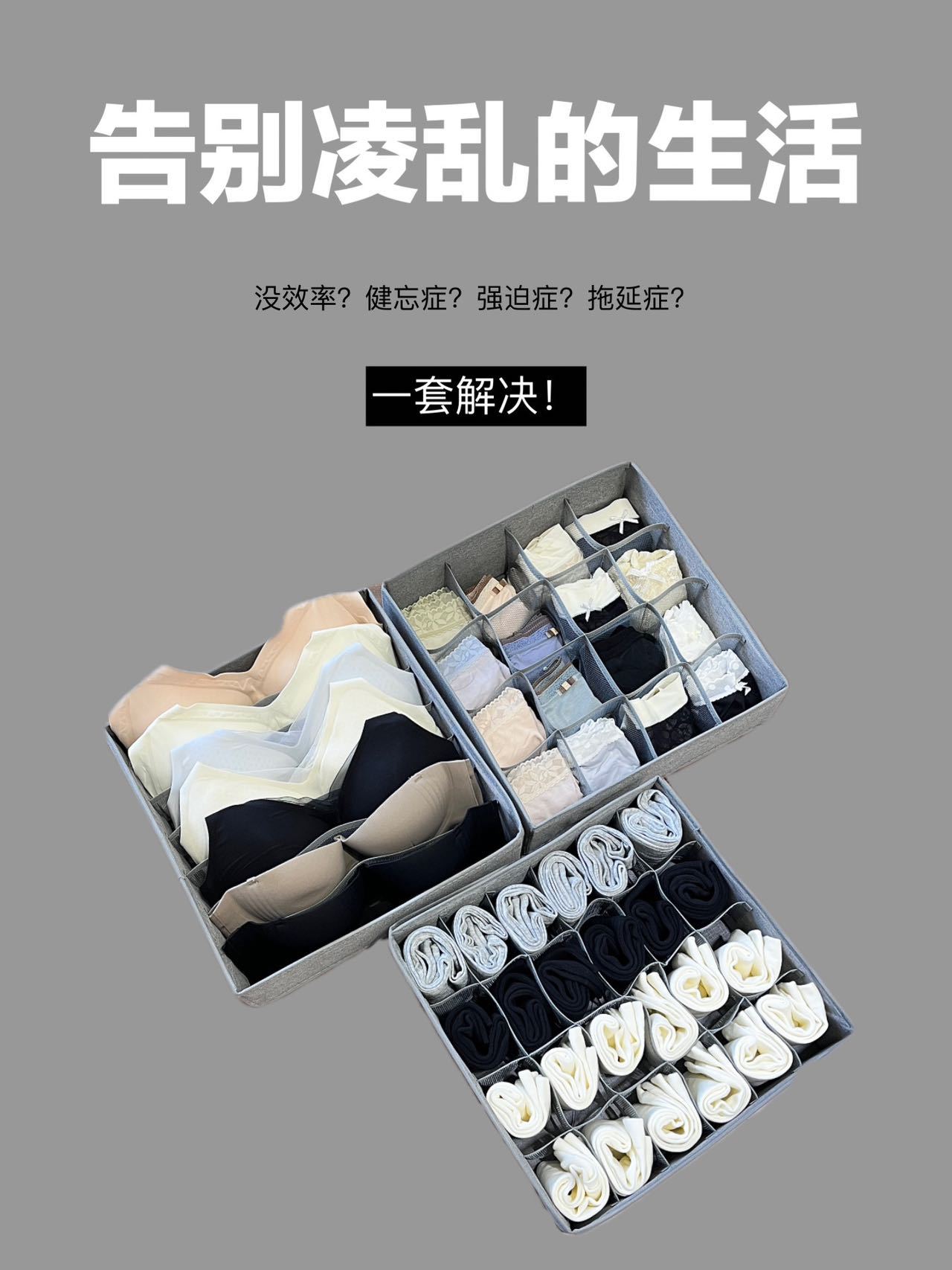 8edf399bb76212aaf5764a1d265e52