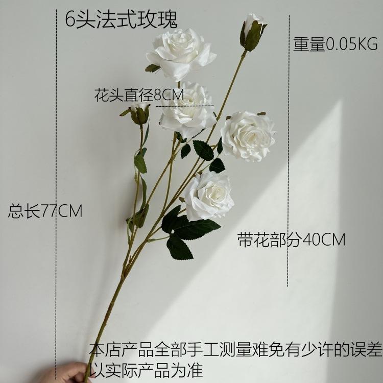 尺寸图