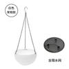 Meixuan Cesta Colgante Maceta de Plástico Colgante Estilo Chino Engrosada Creativa Verde Diaolan Bacín para Cerdo Autoabsorbente Hombre Perezoso