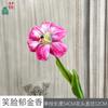 Tulipa Sorridente Narcisos Decoração de Casa Sala de Estar Interna Flor de Seda Beleza Comercial Chen Decoração de Fotografia Flor Artificial