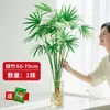 Bambú Dorado Hidropónico Planta en Maceta de Interior para Sala de Estar, Oficina y Decoración del Hogar, Vegetación de Escritorio Fácil de Cuidar