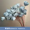 Serie Azul Niebla de Boda Flor Individual Material Flor de Seda 10 Tallos Arreglo Floral Flores Colgantes Pasillo Boda Arte Floral Forma de Arco