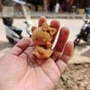Palillos de madera maciza de calabaza, hechos a mano, con mango tallado de madera Taihang Yabei, 2022