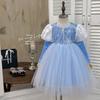 Vestido de Princesa para Meninas 2025 Outono Vestido da Moda para Meninas Azul Renda Vestido Tutu Elsa Vestido de Aniversário