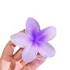 Nueva horquilla de flor de color dopamina de playa de verano transfronteriza, clip de flor de huevo de color degradado, temperamento, clip de tiburón