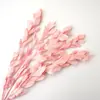 Nochevieja Flor Eterna Hierba Bigote de Dragón Material Paisaje Pino Penglai Día de Año Nuevo Colgante de Frijol Arroz Bienvenida de Boda Rosa Decoración del Hogar