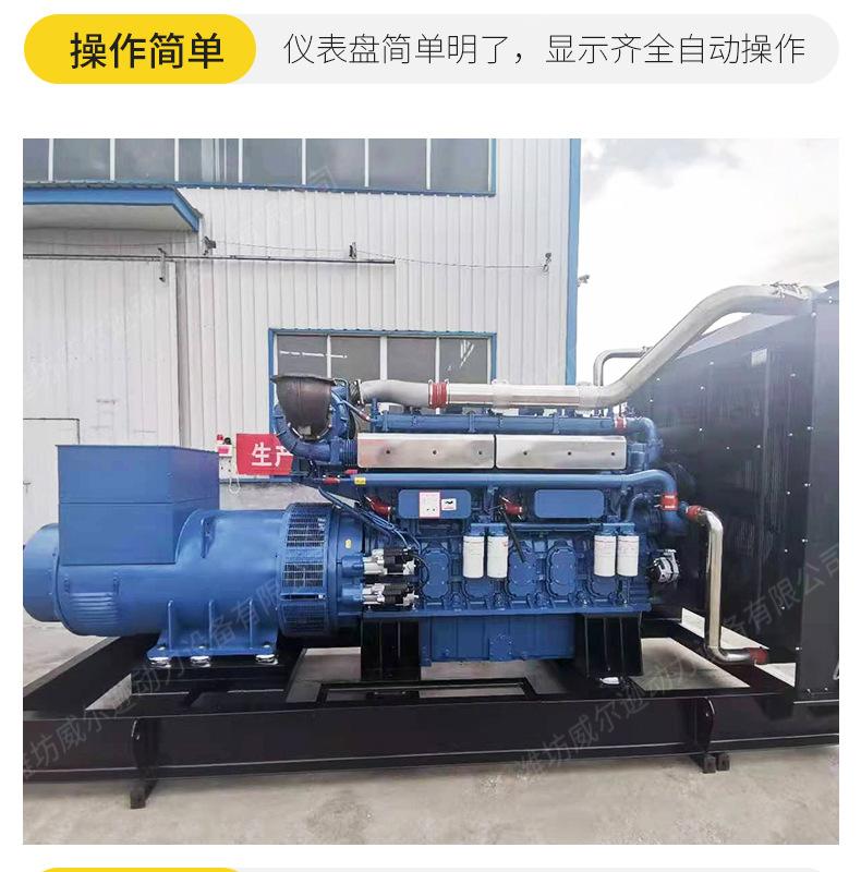 玉柴1000千瓦发电机组_10.jpg