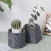 Trípode para Maceta de Ratán Pantalla de Escritorio para Sala de Estar Contenedor Creativo para Almacenamiento de Suculentas Adornos para Pothos en Balcón