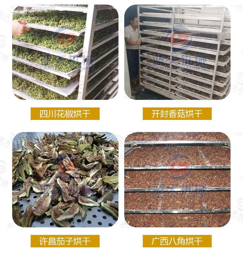 南瓜_27.jpg