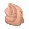 Modelo de anatomía del sistema genitourinario femenino, molde médico del sistema urinario