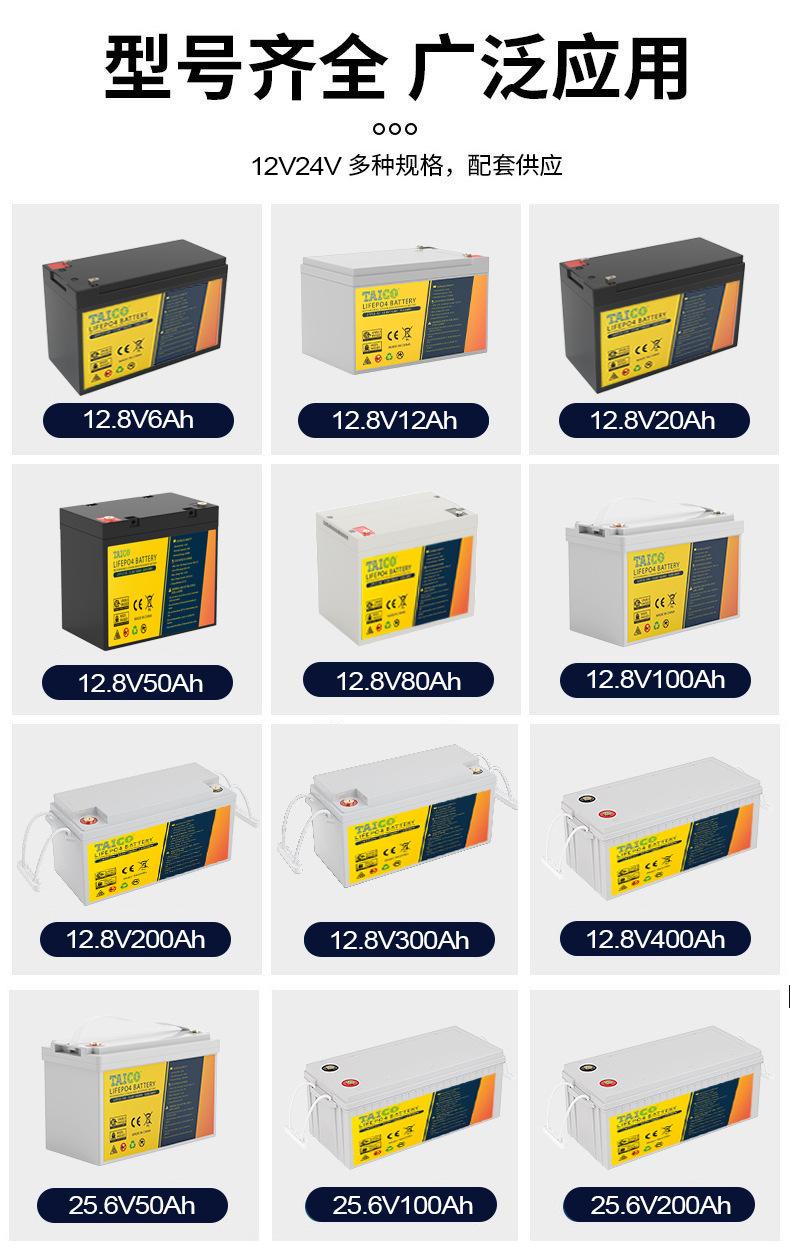 12v_06.jpg