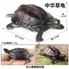 Brinquedos Infantis Sólidos Transfronteiriços Mini Modelo do Oceano Criaturas Biológicas Realistas Tubarão-Baleia Tartaruga Marinha Golfinho Orca Figuras