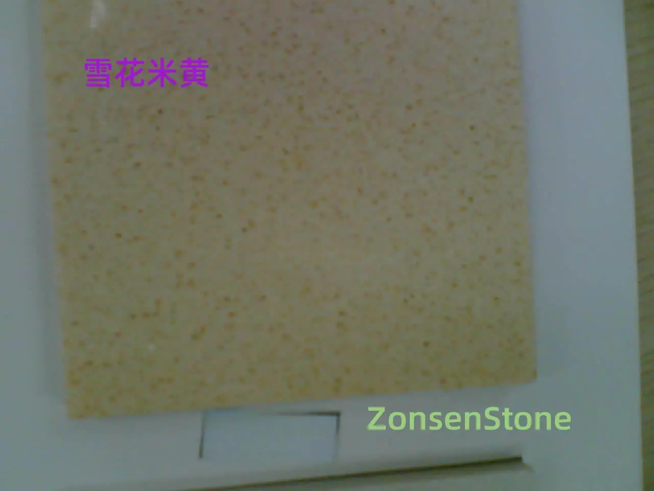 177212260855547083733_详情图.jpg