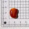 Simulación Cacahuates Semillas de Girasol Nueces Juguete de Comida Accesorios de Resina Accesorios para Joyería DIY Accesorios de Pegamento de Crema Material para Pinzas de Cabello