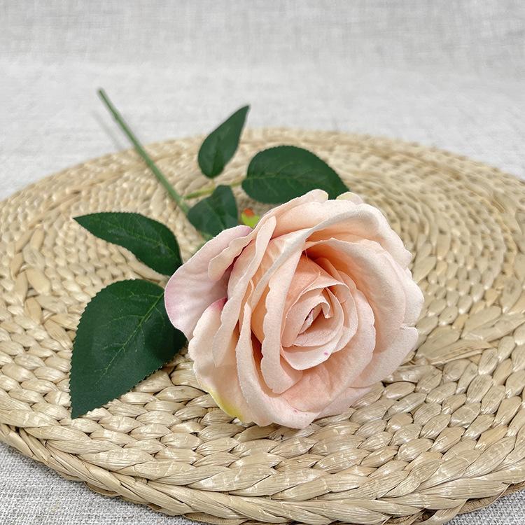 新款单支绒布玫瑰-sxlhyx 香槟.JPG