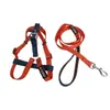 Conjunto de coleira e arreio de nylon bicolor para animais de estimação, direto da fábrica, com fivela de LED para passear com o cachorro