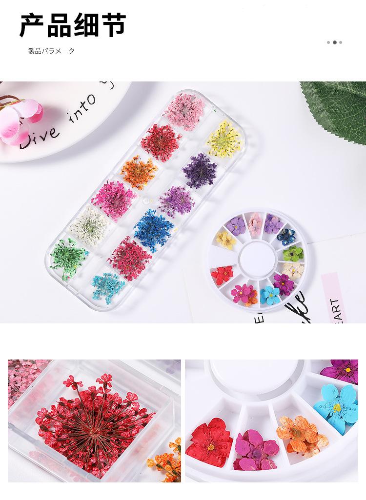 美甲干花 蕾丝干花 水仙花