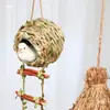 Jardim de Infância Ninho de Pássaro Decoração Suspensa Criativa Ambiental Estilo Floresta Material de Arranjo de Ambiente de Canto Natural Pingente Folha Verde Cipó Ninho de Pássaro