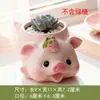 Maceta de Resina de Cerdo Linda para Suculentas, Paisajismo de Plantas Verdes, Micro-Paisaje de Balcón, Decoración de Escritorio, Nuevo Producto Transfronterizo