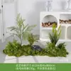 Musgo Sintético Decoración Suave para Interiores Conjunto de Micro Paisaje Combinación Exhibición en Ventana Pasillo Musgo Artificial Plantas Verdes Arreglo de Paisajismo Decoración