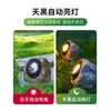 Holofote de Pedra Solar, 2 Cores, IP65, Luz para Paisagismo de Jardim, Resina, ABS
