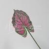 Flor Artificial de Hoja de Lirio de Calas Individual 3D para Decoración de Bodas, Flor Artificial de Planta Verde para Paisajismo, Decoración de Muebles de Hotel, Venta al por Mayor de Flores Artificiales