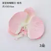Decoración de pastel de hermosa orquídea phalaenopsis para el Día de San Valentín, popular linterna de confesión para parejas, inserto decorativo de papel de arroz glutinoso de frutas