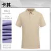 Roupas de Trabalho Pedido Camiseta com Lapela Roupas de Trabalho Fibra de Seda de Amora Camisa Polo Logo Estampado Roupas de Grupo Camisa Cultural