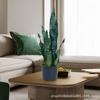 Nuevo bonsái de orquídea piel de tigre artificial decoración de planta verde artificial artificial bonsái cuidado sencillo planta verde sin preocupaciones venta al por mayor