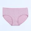E-commerce transfronteiriço russo lingerie feminina florzinha estampada coreana respirável cintura média sexy fofa tamanho grande lingerie para comércio exterior