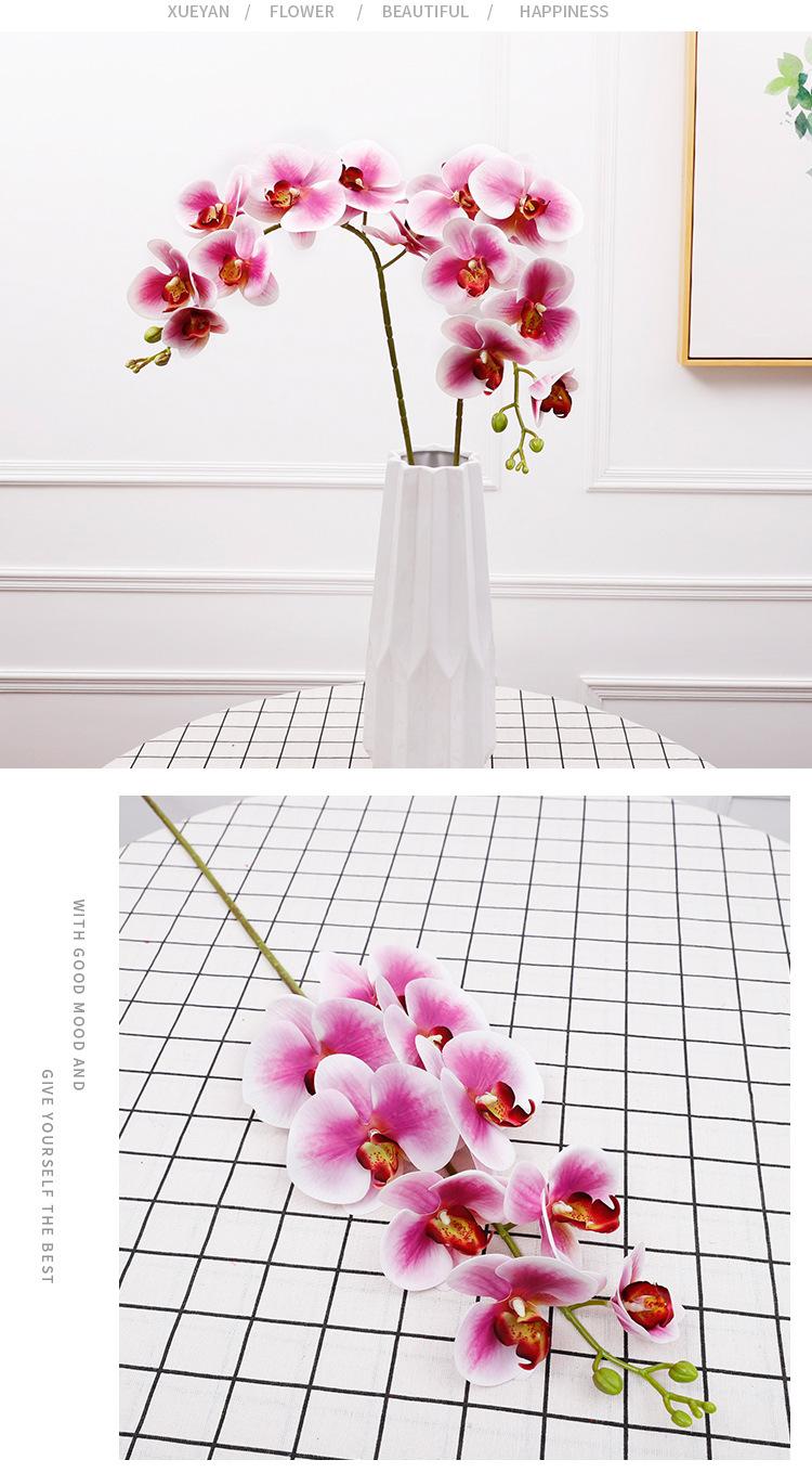 3d6头小兰花_12.jpg