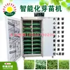Mudas de Cevada, Mudas de Vagem Pequena, Equipamento para Mudas de Ervilha, Máquina Multifuncional para Germinação de Sementes, Máquina de Brotos de Vegetais