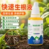 Solución de enraizamiento de acción rápida, polvo estimulante para plántulas, solución nutritiva universal para plantas, apto para suculentas, potos y plantas con flores, potente polvo de enraizamiento para esquejes