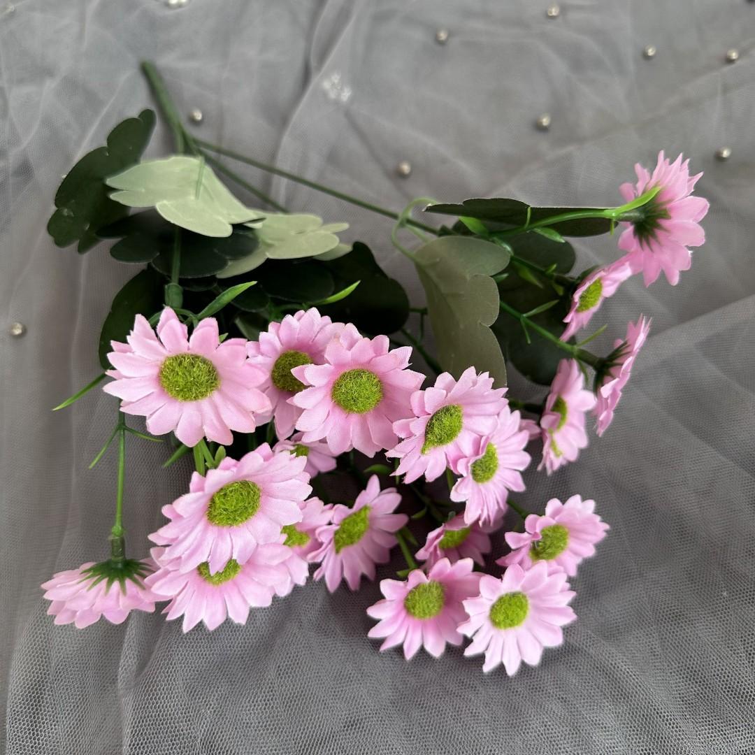 邹菊把粉色