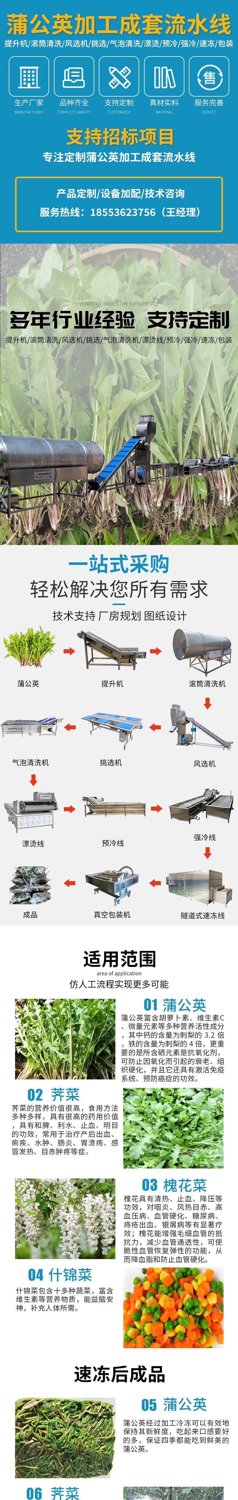 蒲公英成套流水线详情_01