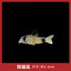 Peixe Ornamental Limpador Musgo Dourado Vivo Tanque de Peixes Ferramenta de Limpeza Peixe Rato de Água Doce Pequeno Tropical Animal de Estimação