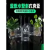 Botella de contenedor hidropónico de menta pecera estante de fijación para plantas hidropónicas cesta de plantación de pared maceta acrílica de flores plantación azul más