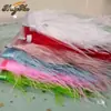 Borlas Decorativas de Pena DIY, Acabamento de Pena de Avestruz, Bainha de Vestido/Saia de Palco, Acessórios de Roupa, Renda, Tiras de Pena