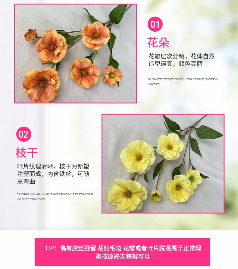 产品细节2-最终.jpg