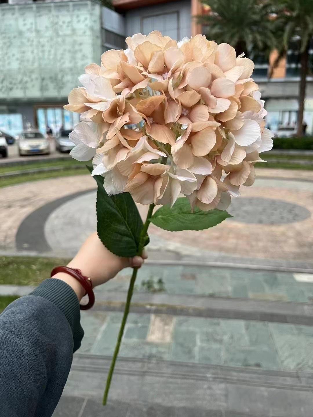 微信图片_20240804132412.jpg