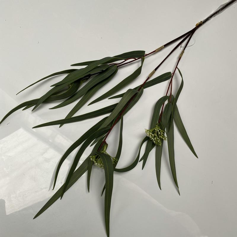 高枝深绿