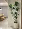 Planta Verde Grande en una Maceta de Madera de Pata de Pato, Adecuada para Sala de Estar y Oficina, Fácil de Cuidar en Todas las Estaciones, También Adecuada para Dormitorio