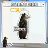 Llavero de emoji de zarigüeya con diseño laminado de alta definición a doble cara, llavero con texto personalizado, regalo de mercancía temática de anime