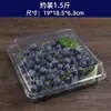 Caixa de Embalagem de Frutas Mirtilo 125g Caixa Retangular Transparente de Plástico Descartável Caixa de Amora Fruta Amora Framboesa