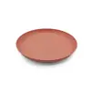Venta Caliente Transfronteriza Celebridad de Internet Venta Caliente Hogar Ecológico Plástico Paja de Trigo Bistec Almuerzo Picnic Plato Portátil