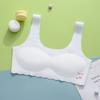Ropa interior sin costuras para niñas, período de desarrollo, sujetador de verano para niñas de secundaria, chaleco de verano para estudiantes, top de tubo antipuntos